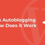 Main Failure Points in an Auto Blogging Setup